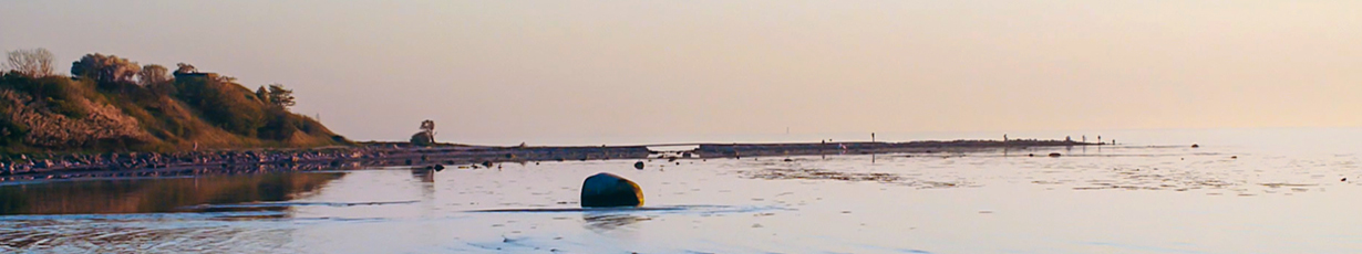 The sea at dusk