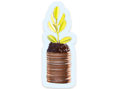 A small pot with a green shoot growing from it
